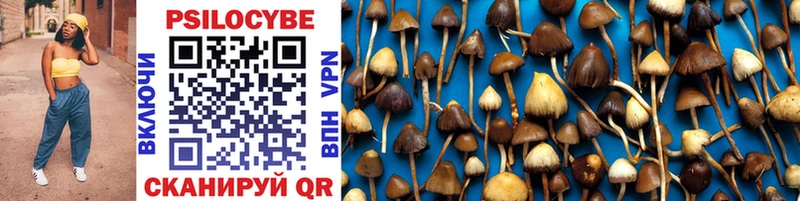 Псилоцибиновые грибы Magic Shrooms  купить наркоту  Карабаново 